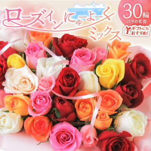 yӂ邳Ɣ[Łzytw\z o Ԏ ~bNX lߍ킹 30 [YCɂ[[ Ϗ oC t[V[ C [Y Mtgp v[gp bsO C