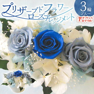 yӂ邳Ɣ[Łzytw\z vU[uht[ [Y 3 t[AWg u[ o Vv X^CbV Mtgp v[gp bsO Yn Ce