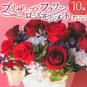 yӂ邳Ɣ[Łzytw\z vU[uht[ [Y 10 t[AWg bh o Vv X^CbV Mtgp v[gp bsO Yn Ce