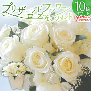 yӂ邳Ɣ[Łzytw\z vU[uht[ [Y 10 t[AWg zCg o Vv X^CbV Mtgp v[gp bsO Yn Ce