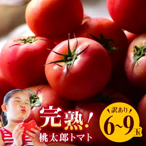 yӂ邳Ɣ[Łz󂠂 Yg}g 6`9 ̓40N _Ƃ  n Ƃ܂ ƒp Bi 炪  q Yn m ɓs 