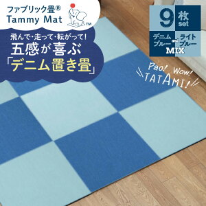 yӂ邳Ɣ[Łzt@ubN }bg ~bNX 9 Zbg u O SS  CeA Tammy Mat H  z L R plJ[ybg Vv WCg}bg