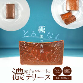 【ふるさと納税】（約200g） 濃厚 チョコレート テリーヌ 200g グルテンフリー 保存料不使用 手づくり 甘すぎない なめらか ショコラ スイーツ チョコレート デザート 冷凍 愛知県 碧南市 お取り寄せ お取り寄せスイーツ 送料無料