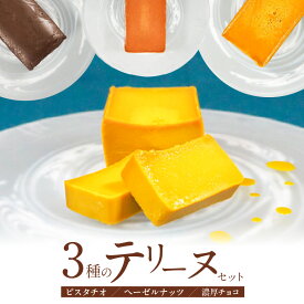 【ふるさと納税】ピスタチオ ヘーゼルナッツ 濃厚チョコ 3種 テリーヌ セット 各 約 200g 手作り グルテンフリー 保存料不使用 スイーツ デザート やさしい甘さ 芳醇な香り 濃厚な味わい 口どけなめらか 食べ比べ 冷凍 愛知県 碧南市 お取り寄せ お取り寄せスイーツ 送料無料