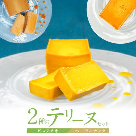 【ふるさと納税】ピスタチオ ヘーゼルナッツ 2種 テリーヌ セット 各 約 200g 手作り グルテンフリー 保存料不使用 スイーツ デザート やさしい甘さ 芳醇な香り 濃厚な味わい 極限の食感 食べ比べ 冷凍 愛知県 碧南市 お取り寄せ お取り寄せスイーツ 送料無料