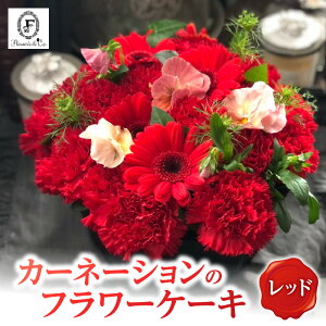 yӂ邳Ɣ[Łzbh J[l[V ӂ J[l[VP[L t[AW ԕrsv ̂܂܏ AWg o[Xf[P[L v[gp 蕨 җ LO 