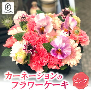 yӂ邳Ɣ[ŁzsN J[l[V ӂ J[l[VP[L t[AW ԕrsv ̂܂܏ AWg o[Xf[P[L v[gp 蕨 җ LO 