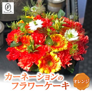 yӂ邳Ɣ[ŁzIW J[l[V ӂ J[l[VP[L t[AW ԕrsv ̂܂܏ AWg o[Xf[P[L v[gp 蕨 җ LO