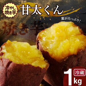 yӂ邳Ɣ[ŁzĂ ՂI₵Ă ЂЂN g͂邩uÑv 1kg(500g×2) XC[c