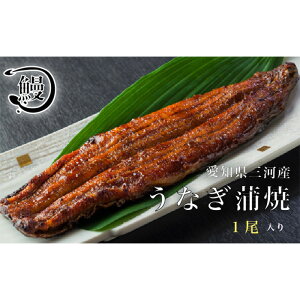 yӂ邳Ɣ[ŁzNo.140 Ȃ̊1 ^ V EiM ΏĂ ԐS  m