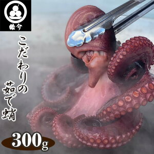 yӂ邳Ɣ[ŁzNo.323 ŝł邽Ă䥂łA䥂ő300giCASⓀj ^ ᩉ ^R  mY t  VN ^pbN  m
