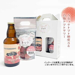 yӂ邳Ɣ[ŁzNo.374 g}gx8g}gT[ ^ Ƃ܂  A  m