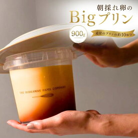 【ふるさと納税】Bigプリン | バケツに入った大きなプリン 特大プリン プリン ビッグプリン 誕生日 お祝い サプライズ パーティー スイーツ 洋菓子 デザート 手作り ギフト プレゼント 卵 お取り寄せ 愛知県 豊田市