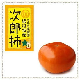 【ふるさと納税】＜先行受付＞次郎柿　約4kg【2026年11月上旬以降順次発送】 | フルーツ 果物 くだもの 食品 人気 おすすめ 送料無料