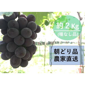 yӂ邳Ɣ[Łzy_ƒinɔjz햳@2kgi3`5[j