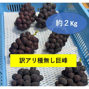 yӂ邳Ɣ[ŁzA@햳@2kg