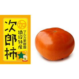【ふるさと納税】＜先行受付＞次郎柿　約4.4kg【2026年10月下旬以降順次発送】 | フルーツ 果物 くだもの 食品 人気 おすすめ 送料無料