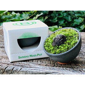 【ふるさと納税】三州モスポット(sanshu moss pot) 【1093948】
