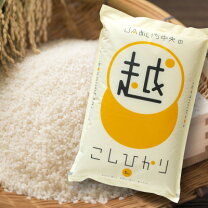 楽天市場】愛知 コシヒカリの通販