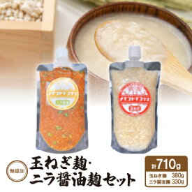 【ふるさと納税】無添加　玉ねぎ麹・ニラ醤油麹セット【配送不可地域：離島】【1468069】