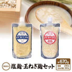 【ふるさと納税】無添加　塩麹・玉ねぎ麹セット【配送不可地域：離島】【1468070】