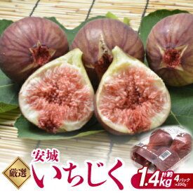 【ふるさと納税】厳選　安城いちじく　約1.4kg(350g×4パック)【配送不可地域：離島・北海道・沖縄県・東北・中国・四国・九州】【1527653】