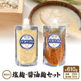 【ふるさと納税】無添加　塩麹・醤油麹セット【配送不可地域：離島】【1438029】