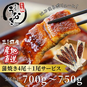 yӂ邳Ɣ[ŁzO͎YȂuđTCY4+1(v700`750g)vEA202Ȃ V̊  ȂĂ Zbg lߍ킹 y y  蕨 Mtg N̓  Ε 