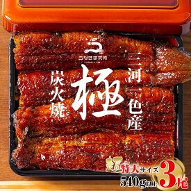 【ふるさと納税】《2026年3・4月限定価格》三河一色産うなぎ蒲焼 超特大3尾【計540g以上】R047-26 うなぎ 鰻の蒲焼 蒲焼 鰻蒲焼 たれ タレ付き 三河一色産 ブランド鰻 一色産うなぎ ブランド 惣菜 肉厚 脂乗り 国産 愛知県産 特産品 グルメ ギフト 冷凍 西尾市 送料無料