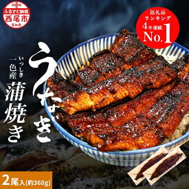 楽天市場 ふるさと納税 父の日 うなぎの通販