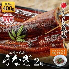 【ふるさと納税】うなぎ 西尾 三河産 一色産 うなぎ 蒲焼き 【特大サイズ2尾 ＋ きざみうなぎ 2食入りセット (長焼き 2尾400g ＋ きざみうなぎ50g×2食)】U022-18【冷凍便】うなぎの兼光 国産 鰻 西尾一色産 MB