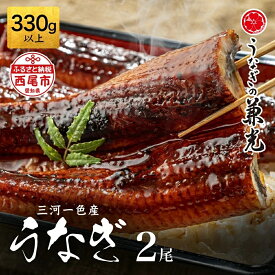 【ふるさと納税】【生活応援】うなぎ 西尾 三河 一色産 うなぎ蒲焼【大サイズ2尾 (計2尾 330g以上)】U023-14【冷凍便】うなぎの兼光 蒲焼き 惣菜 国産うなぎ ウナギ 鰻 西尾市産 西尾一色産 タレ付き たれセット かば焼き MB