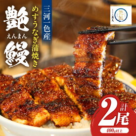 【ふるさと納税】愛知県三河一色産 めすうなぎ「艶鰻」うなぎ蒲焼き （計2尾400g以上）・U048 うなぎ 鰻の蒲焼 蒲焼 三河一色産 一色産 国産 愛知県産 真空パック 小分け グルメ お取り寄せ ギフト おすすめ 愛知県 西尾市
