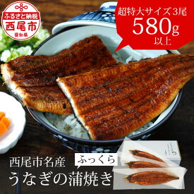 【ふるさと納税】うなぎ 西尾 三河産 蒲焼 超特大 3尾（合計580g〜600g）A091-26【冷凍便】＜br＞うなぎ 国産 三河産 愛知県産 西尾市 鰻 蒲焼き ウナギ 鰻の蒲焼き タレ付き たれセット 山椒 土用の丑の日 丑の日 土用 惣菜 食品 うな丼 MB