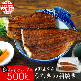 【ふるさと納税】うなぎ 西尾 三河産 「超おばけサイズ 蒲焼き2尾」（合計500g以上）A116-21【冷凍便】＜br＞大きい うなぎ 国産 西尾 三河産 愛知県産 鰻 ウナギ タレ付き たれセット 特大以上 海鮮 食品 三河地方 MB