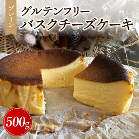 【ふるさと納税】バスクチーズケーキ（プレーン）・A195 ケーキ バスチー チーズケーキ チーズ ベイクドチーズケーキ デザート スイーツ グルテンフリー 誕生日 記念日 お祝い 内祝い クリスマス ギフト 贈答 贈り物 プレゼント お取り寄せ グルメ 愛知県 西尾市 送料無料
