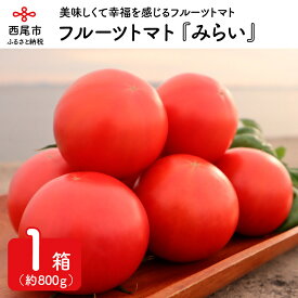 【ふるさと納税】M005-13.フルーツトマト『みらい』/減農薬 とまと 野菜 国産 食品 愛知県産 愛知県西尾産 期間限定 冷蔵便【発送期間：2026年1月10日〜6月15日】