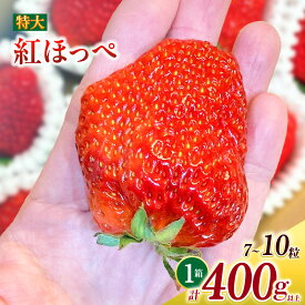 【ふるさと納税】特大いちご 紅ほっぺ 7〜10粒入り 合計400g以上 O036-13【発送期間：2025年12月1日〜2026年3月31日】冷蔵便 果物 フルーツ 愛知県産 西尾産 国産 イチゴ いちご 苺 ギフト 食品 MB