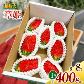 【ふるさと納税】超特大いちご 章姫 6〜8粒入り 合計約400g O039-16【発送期間：2025年12月1日～2026年3月31日までに発送予定】クール便 果物 フルーツ 愛知県産 西尾産 国産 イチゴ いちご 苺 ギフト 食品 MB