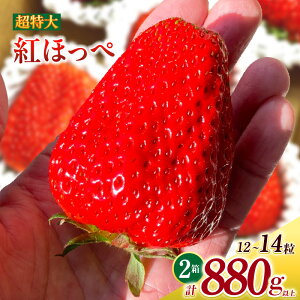 yӂ邳Ɣ[Łz傢 (gق) 440gȏ (6`7) ×2 O043-32yԁF2025N121`2026N331܂łɔ\zy①ցz/ ʕ t[c mY Y Y C`S 