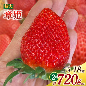 yӂ邳Ɣ[Łz傢 (͕P) 360gȏ (7`9) ×2 O044-21yԁF2025N121`2026N331܂łɔ\zy①ցz/ ʕ t[c mY Y Y C`S   H