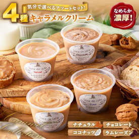 【ふるさと納税】とろけるキャラメルクリーム 4種アソートセット《プレーン・チョコレート・ココナッツ・ラムレーズン》スイーツ なめらか キャラメルクリーム 詰め合わせ 食べ比べ おやつ アソート ギフト おしゃれ デザート アイス トッピング 送料無料 S105