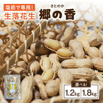 楽天市場】ふるさと納税 生 落花生の通販