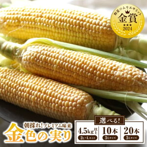 yӂ邳Ɣ[ŁzseʂIׂt̂Iv~A `F̎` ES064-SKU  gERV R[ XC[gR[ ̂ Yn Y Y mY  Ė xW^A