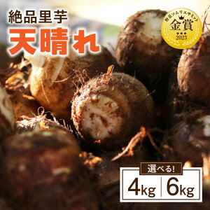 yӂ邳Ɣ[ŁzseʂIׂti `V` 4kg`6kg ES067-SKU    _앨 _Y   ޗ aH ϕ ł y ̎ς낪 }O Yi Y 