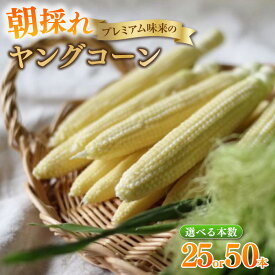 【ふるさと納税】朝採れ！プレミアム味来のヤングコーン【選べる内容量：25本・50本】★期間限定★ 農家直送 ヤングコーン 採れたて新鮮 栄養たっぷり トウモロコシ 野菜 農作物 大好評 お取り寄せ 小さなとうもろこし 愛知県 西尾市《受付期間：2026年6月15日まで》S099-SKU