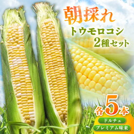 【ふるさと納税】朝採れ！とうもろこし2種セット【プレミアム味来＆ドルチェ：各5本】計10本 夜明け前に収穫したとうもろこしを高鮮度のままお届け！ 高品質トウモロコシ 野菜 農作物 おやつ お取り寄せ グルメ 愛知県 西尾市《受付期間：2026年6月30日まで》 S101