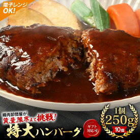 【ふるさと納税】＼レビューキャンペーン対象／【250g×10個】精肉卸問屋が自信をもってお届けする特大ハンバーグ（デミグラスソース）・T098 ハンバーグ デミグラスハンバーグ レンジ 湯煎 簡単調理 おすすめ グルメ 肉 冷凍食品 温めるだけ 西尾市《にし推し!》送料無料