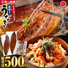 【ふるさと納税】うなぎ 西尾 三河産 一色産 うなぎ 蒲焼き 【特大サイズ 2尾 ＋ きざみうなぎ 2食入りセット (長焼き 2尾400g ＋ きざみうなぎ50g×2食)】U022-180【冷凍便】うなぎの兼光 国産 鰻 西尾一色産 MB