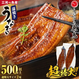 【ふるさと納税】三河一色産 うなぎ蒲焼【超特大サイズ 2尾（計500g以上）】U039-16【冷凍便】うなぎの兼光 蒲焼き 総菜 国産うなぎ ウナギ 鰻 愛知県産 西尾市産 西尾一色産 タレ付き たれセット 蒲焼き かば焼き 特大 丑の日 土用丑の日 MB